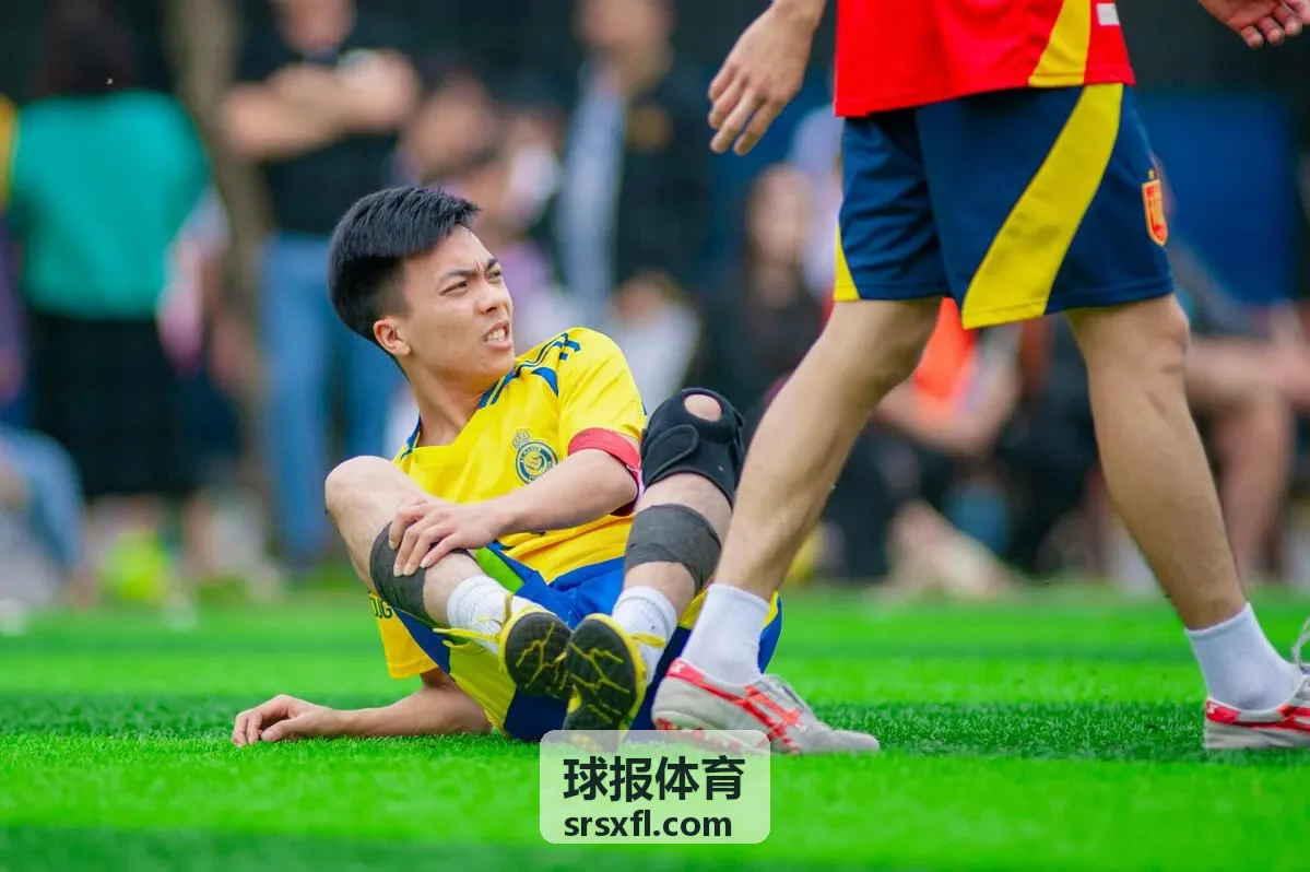 球报体育数据API